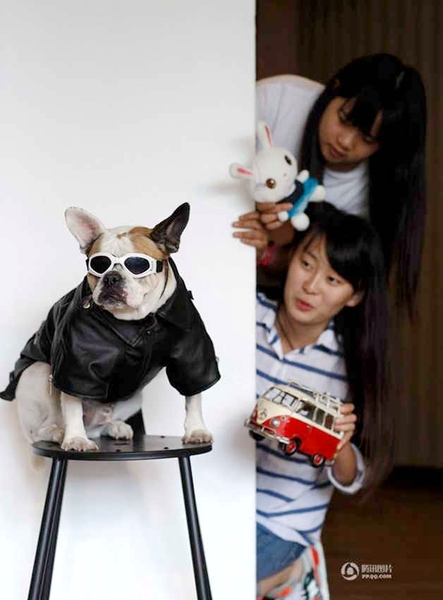 애완동물 촬영 스튜디오 오픈한 20살 아가씨들