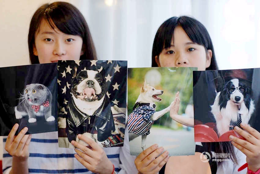 애완동물 촬영 스튜디오 오픈한 20살 아가씨들