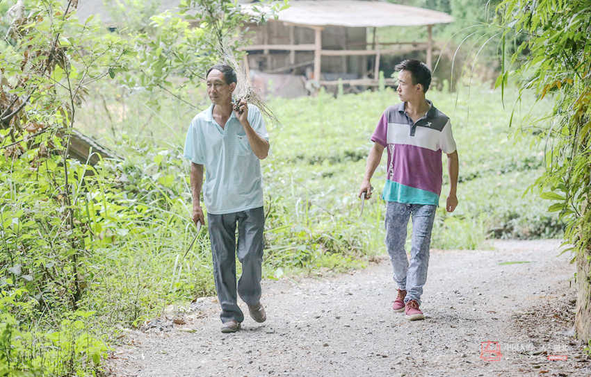 후베이 백년 토사왕묘의 마지막 묘지기