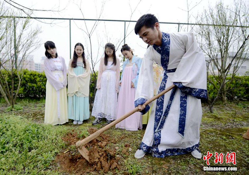 국의절 맞아 한푸 차림으로 약초 심는 후난중의약대 학생들