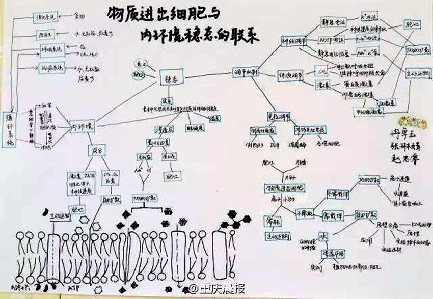 충칭 고3생 필기 노트 화제… ‘공신’이 따로 없다