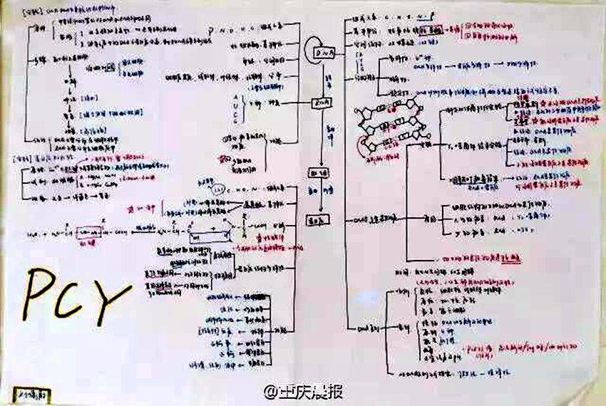 충칭 고3생 필기 노트 화제… ‘공신’이 따로 없다