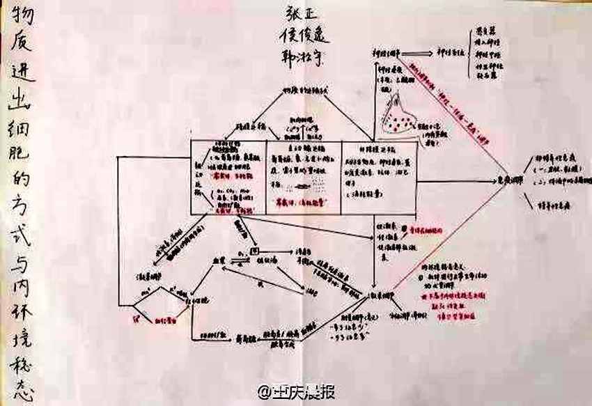 충칭 고3생 필기 노트 화제… ‘공신’이 따로 없다