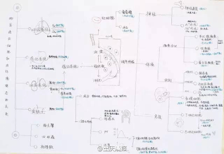 충칭 고3생 필기 노트 화제… ‘공신’이 따로 없다