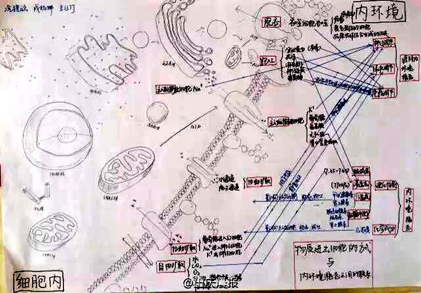 충칭 고3생 필기 노트 화제… ‘공신’이 따로 없다
