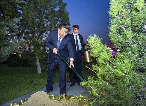 시진핑이 7개 국가에 심은 ‘우정나무’