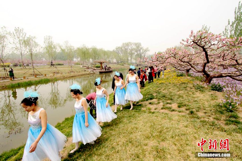 톈진 진시 타오위안 복숭아꽃 축제현장 '인산인해'