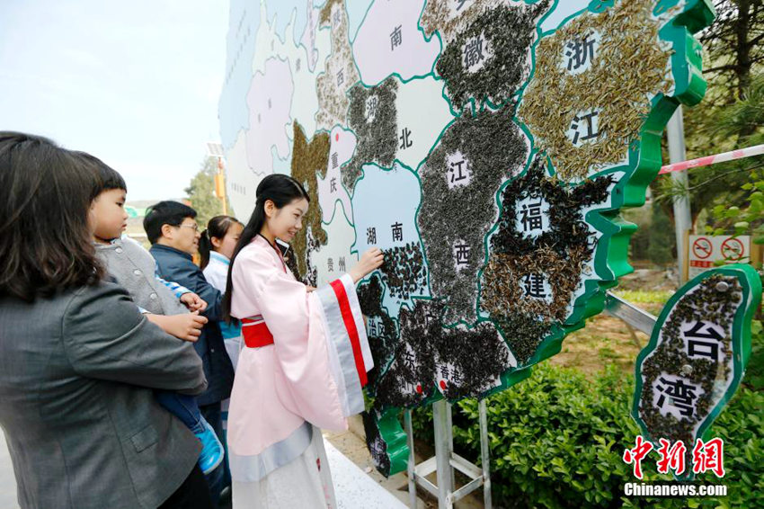 베이징 미녀 차예사, 중국 ‘茶’ 지도 만들어