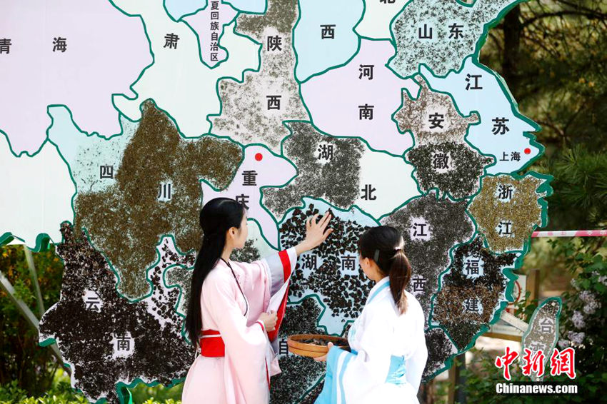베이징 미녀 차예사, 중국 ‘茶’ 지도 만들어