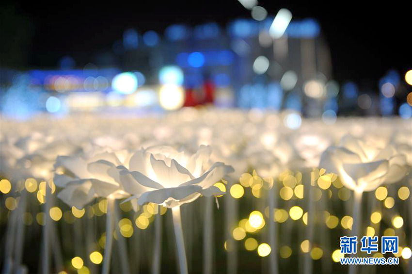 쓰촨 청두에 핀 ‘LED장미’, 낭만적인 야경 연출
