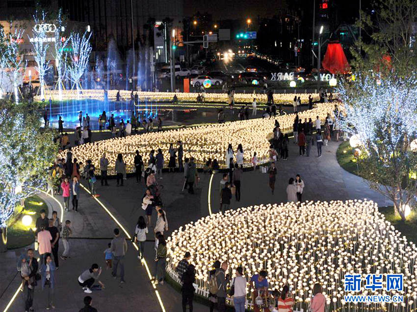 쓰촨 청두에 핀 ‘LED장미’, 낭만적인 야경 연출