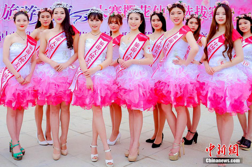 장쑤 한장 벚꽃 아가씨 대회에 각지 미녀 운집