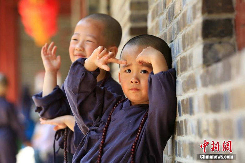 귀여운 어린이들, 난징 치샤쓰에서 참선 체험