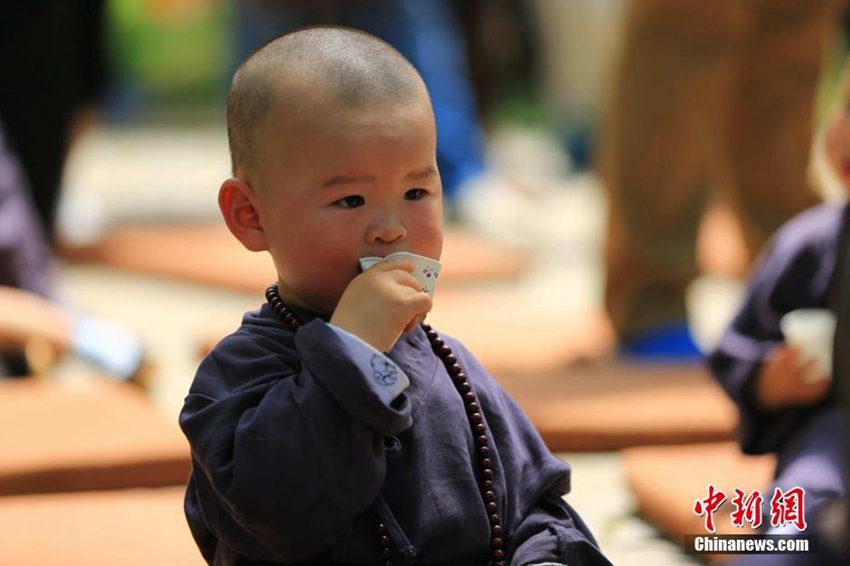 귀여운 어린이들, 난징 치샤쓰에서 참선 체험