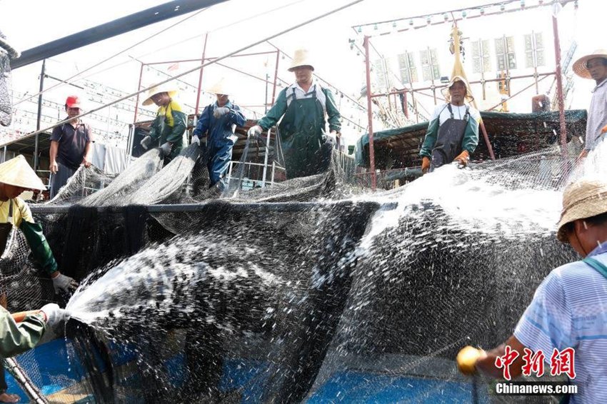 어획금지기간에 접어든 남중국해, 입항한 어선들 '장관'