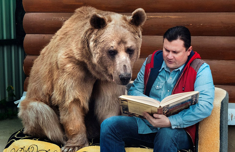 ‘거대 불곰’ 입양해 아들처럼 키우는 러시아 부부