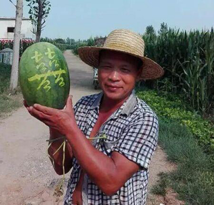 멋진 서예 글씨 적힌 수박, 11일 간 3,000kg 팔려