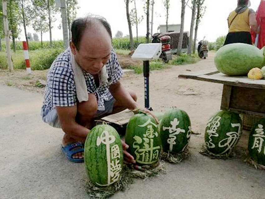 멋진 서예 글씨 적힌 수박, 11일 간 3,000kg 팔려