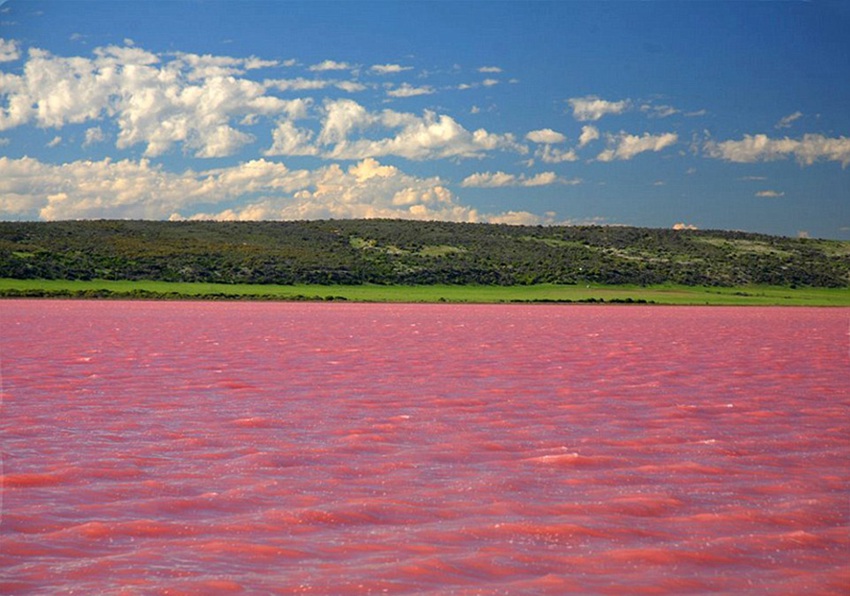 세계 가장 낭만적인 호수, 핑크빛 호수 본 적 있어?