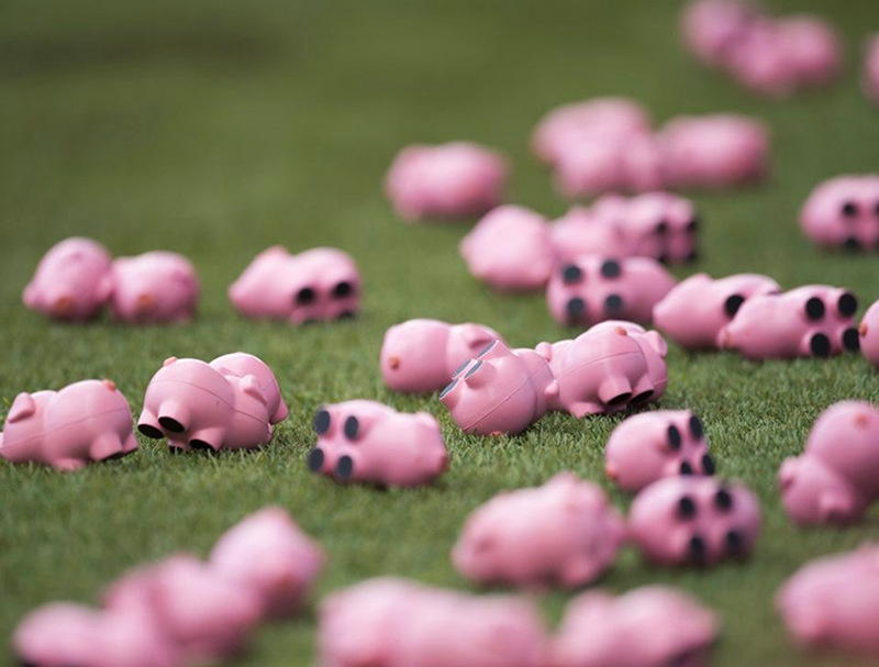 영국 풋볼 리그 1… 분홍색 ‘돼지 우리’가 된 홈구장