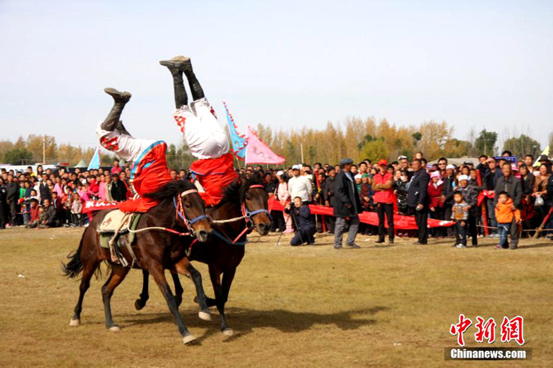 산시 위린 경마 대회, 색다른 ‘분노의 질주’