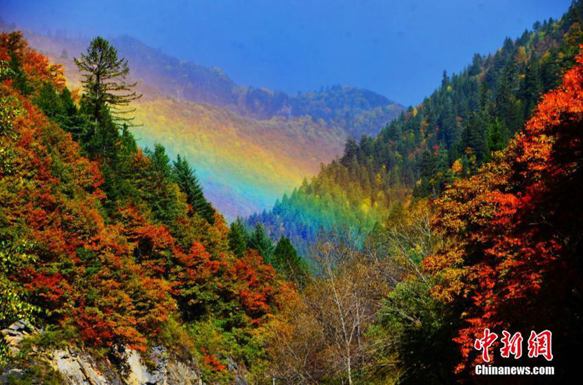 쓰촨 헤이수이 물들인 가을 풍경, 오색찬란한 대자연의 그림