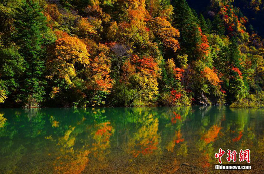 쓰촨 헤이수이 물들인 가을 풍경, 오색찬란한 대자연의 그림