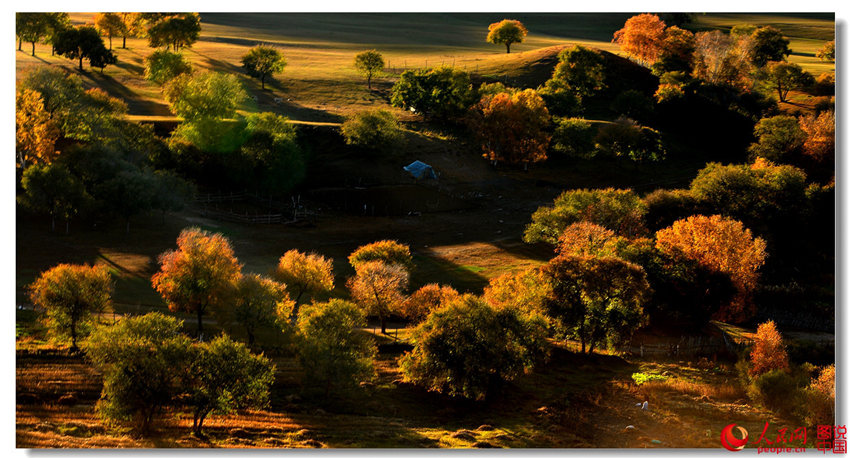 물오른 가을… 바상초원의 비경
