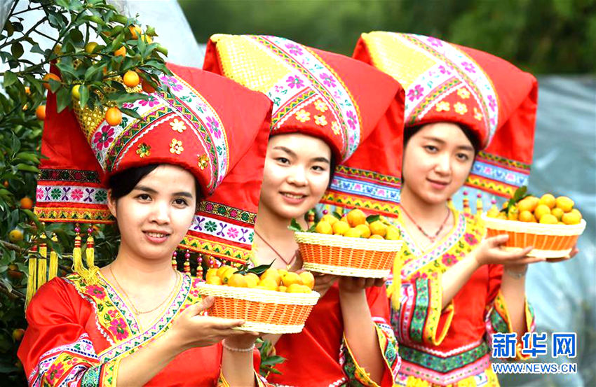 장족(壯族) 의상을 입은 여성들이 금귤을 선보이는 모습