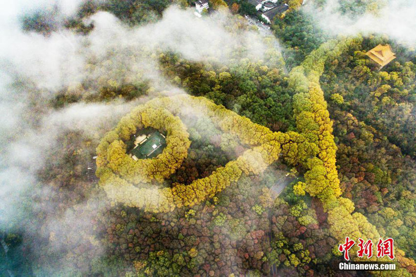 초겨울 최고의 관광지 난징 쯔진산, ‘가장 아름다운 목걸이’