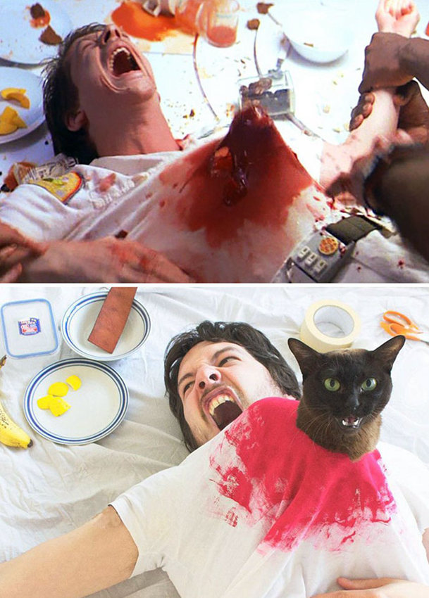 英 커플, 고양이와 함께 영화 속 장면의 ‘폭소’ 패러디