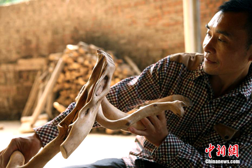 장애를 가지고 있는 옌바이룬(晏伯倫, 44세) 씨는 10년 넘게 대나무 공예를 해왔고 멀리서 소문을 듣고 찾아올 만큼 유명한 공예가가 되었다.
