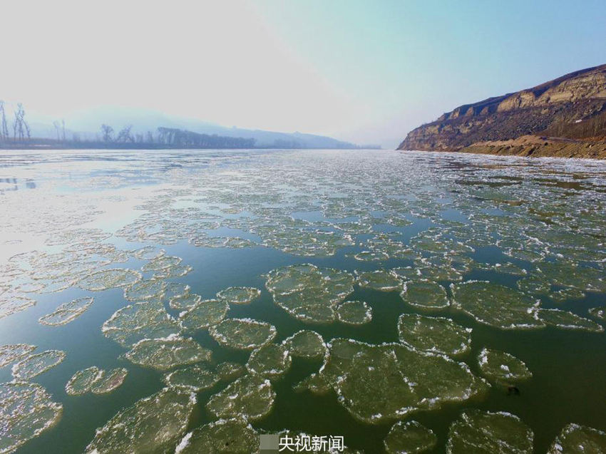 황허에 나타난 ‘얼음 연잎’