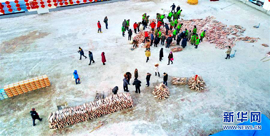 지린 차간후 동계 어획 문화축제, 가장 큰 물고기 1억 5천 만 원에 낙찰