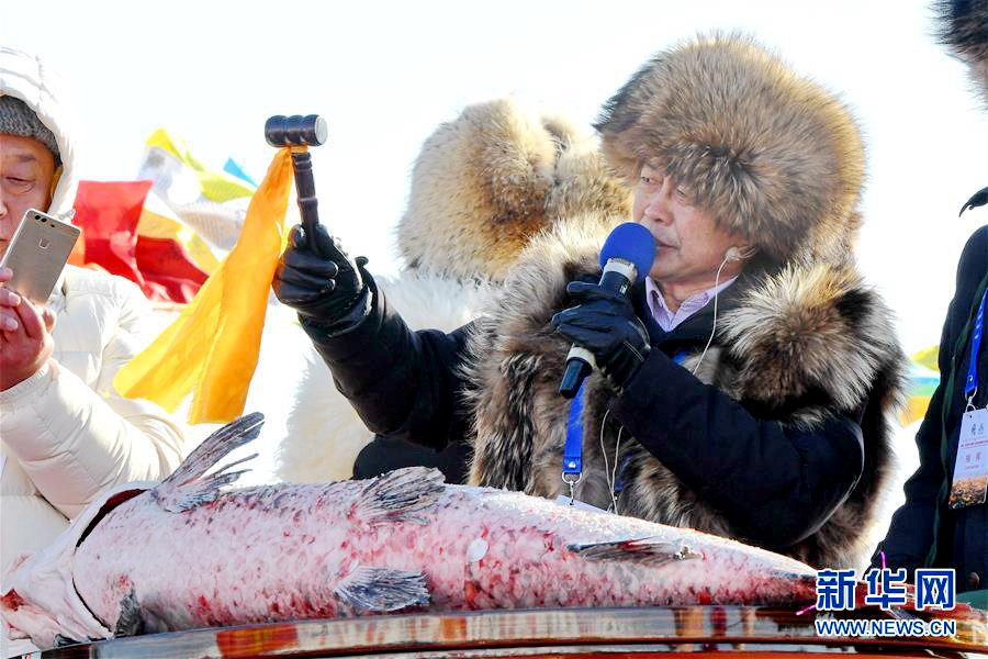 지린 차간후 동계 어획 문화축제, 가장 큰 물고기 1억 5천 만 원에 낙찰