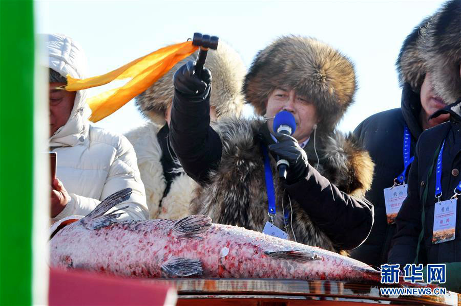 지린 차간후 동계 어획 문화축제, 가장 큰 물고기 1억 5천 만 원에 낙찰