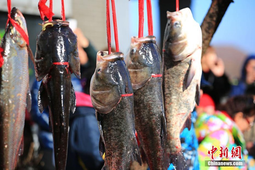 랴오닝 푸순 둥부제 행사, 물고기 하나에 1700만 원