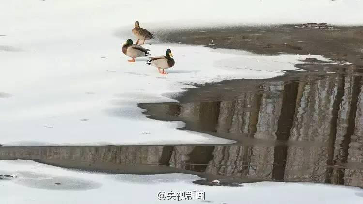 천 년 역사 자랑하는 톈진 지저우에 펼쳐진 환상적인 상고대 풍경