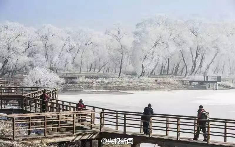 천 년 역사 자랑하는 톈진 지저우에 펼쳐진 환상적인 상고대 풍경
