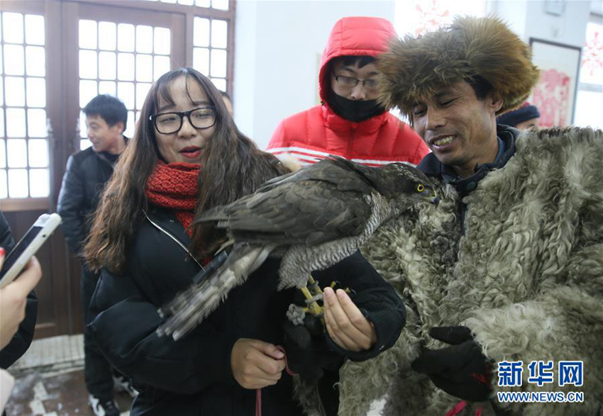 中 지린의 사냥매 이야기: 날렵하고 빠른 사냥 기술과 응사의 노련미