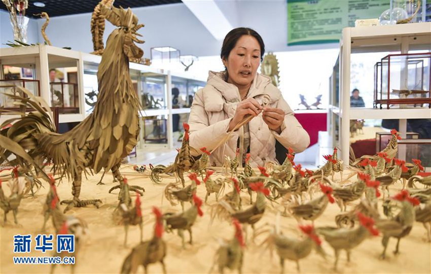 지난 15일, 뤄양(洛陽) 종려잎 예술가 자수쥐안(賈淑娟)이 ‘금계(金雞)’를 만들고 있다.