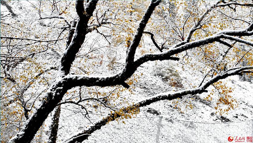 쓰촨 주자이거우에 내린 첫눈, 자연의 아름다움이란 이런 것