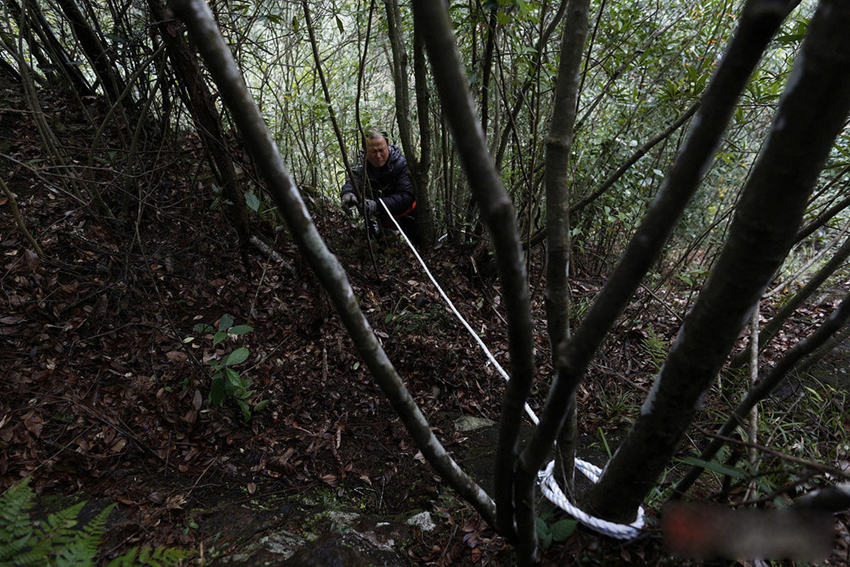 원저우 민간 약초 한의사, 산중에서 캔 약초로 치료