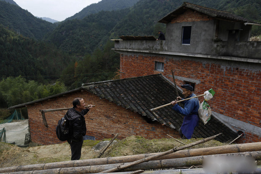 원저우 민간 약초 한의사, 산중에서 캔 약초로 치료
