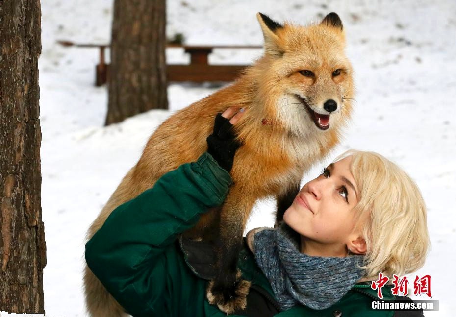 러시아 미녀 사육사와 여우의 꿀잼 케미 사진 공개! 따뜻해