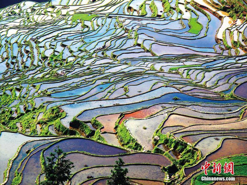 한 폭의 수채화 같은 중국 구이저우 계단식 밭의 사계절