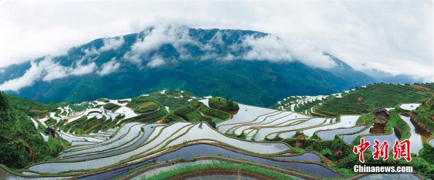 한 폭의 수채화 같은 중국 구이저우 계단식 밭의 사계절