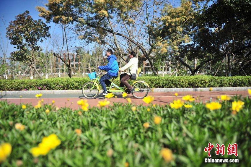 2월17일, 야외에서 자전거를 타는 시민들