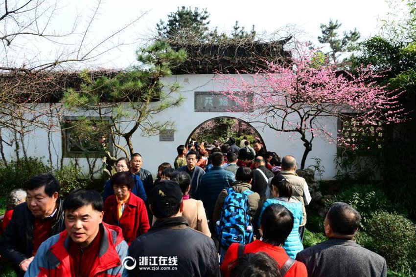 중국 항저우 기온 21℃, 매화꽃 활짝 피어나