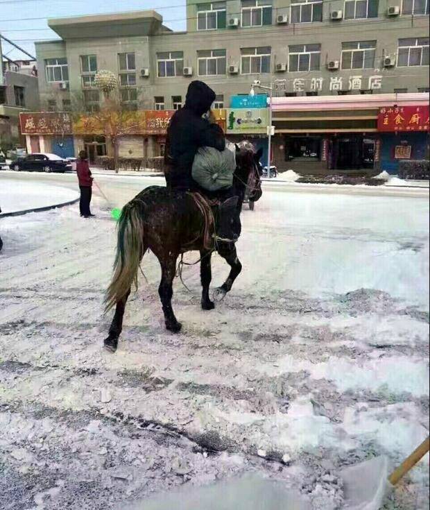 네이멍구 덮친 폭설 속, 말 타고 소포 전하는 택배원